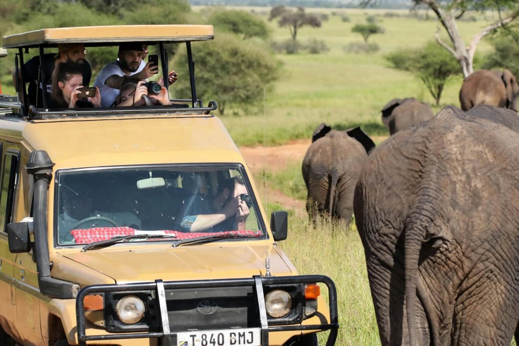 Best Safari Car hire in Kigali