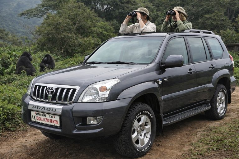 Book the best gorilla trekking car hire in Rwanda with Kigali Car Rent. Rent a Toyota Land Cruiser, Prado, Hilux or RAV4 for Volcanoes National Park. Airport delivery, 24/7 support and cross-border rentals available.