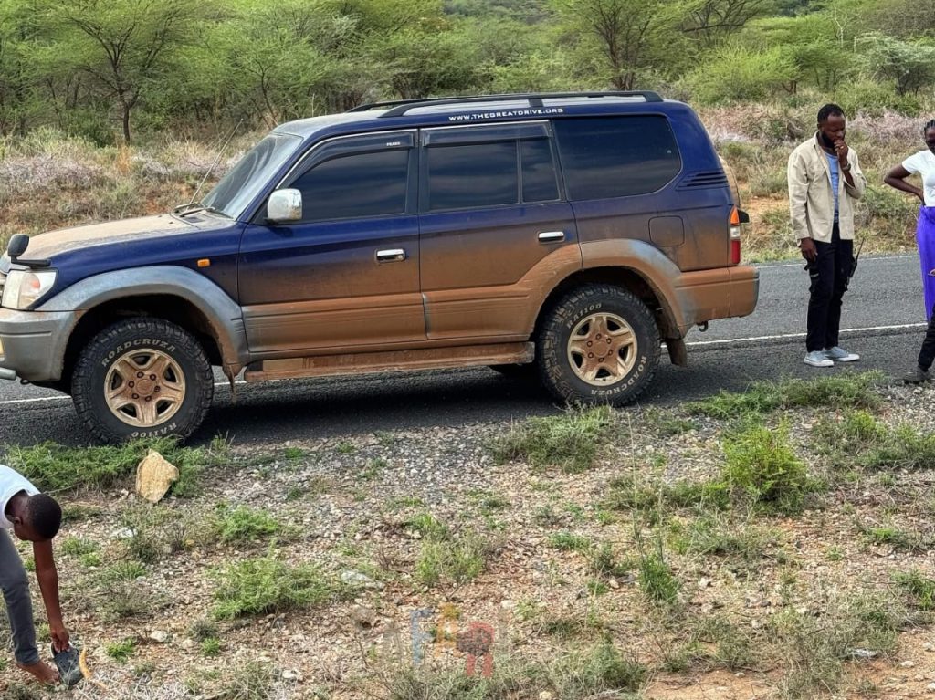 Hire a car from Kigali to Akagera for a self-drive safari