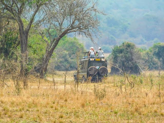 Hire a car from Kigali to Akagera for a self-drive safari