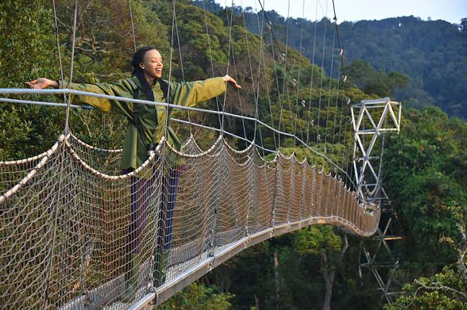 Hire a car from Kigali to Nyungwe National Park in Rwanda