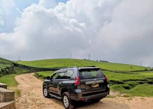Rent a car from Kigali to Bwindi | 4x4 & Self Drive- Freddy Car rental 
