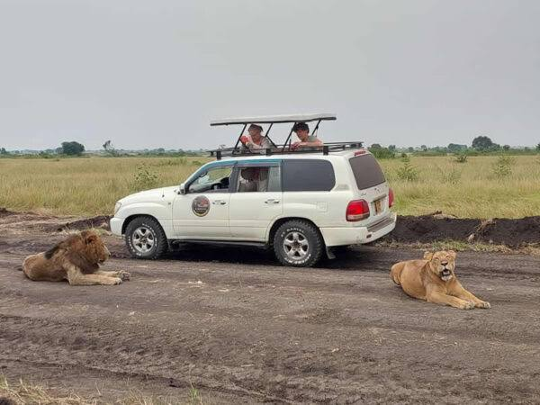 Car hire from Rwanda to Uganda for a cross-border road trip