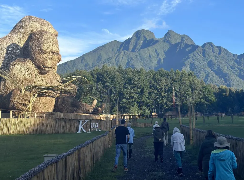Musanze car rental for gorilla trekking in Rwanda